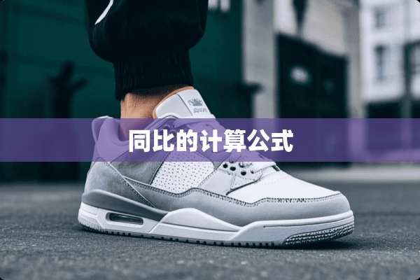 同比的计算公式