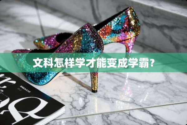 文科怎样学才能变成学霸？