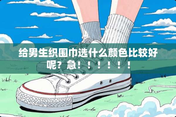 给男生织围巾选什么颜色比较好呢？急！！！！！！