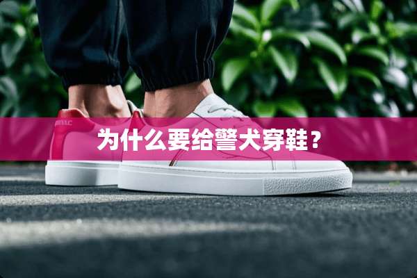 为什么要给警犬穿鞋？