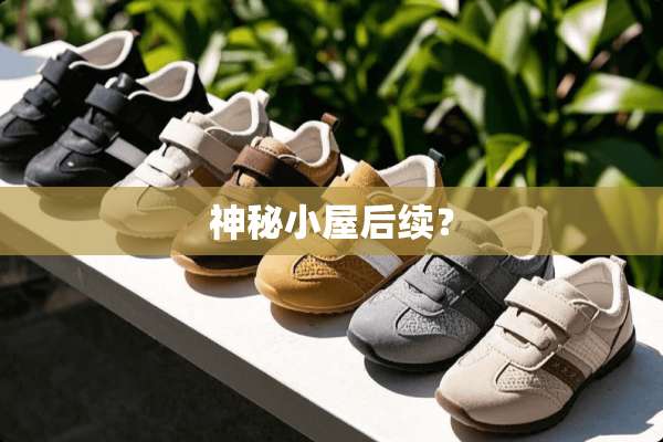 神秘小屋后续？