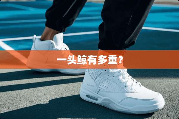 一头鲸有多重？
