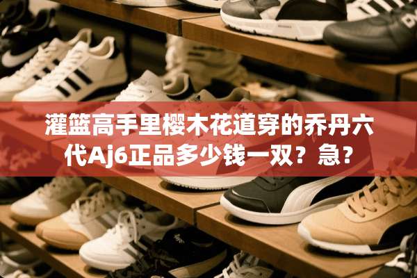 灌篮高手里樱木花道穿的乔丹六代Aj6正品多少钱一双？急？
