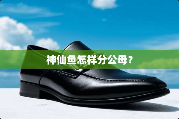 神仙鱼怎样分公母？