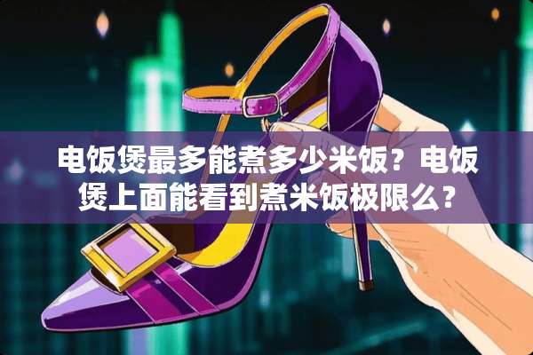 电饭煲最多能煮多少米饭？电饭煲上面能看到煮米饭极限么？