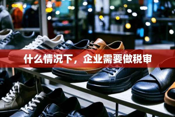 什么情况下，企业需要做税审