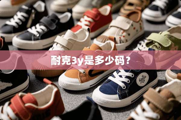 耐克3y是多少码？