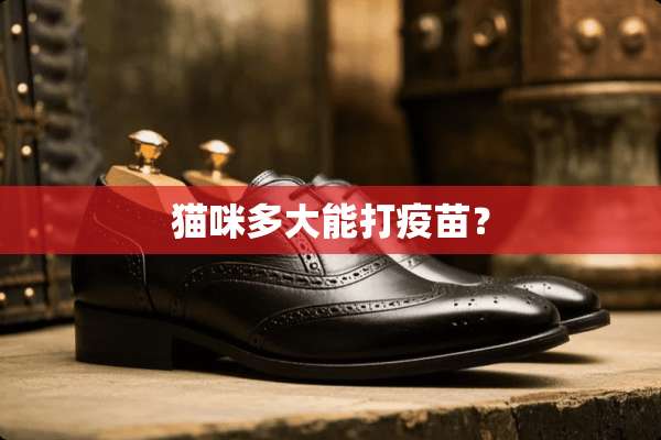 猫咪多大能打**？