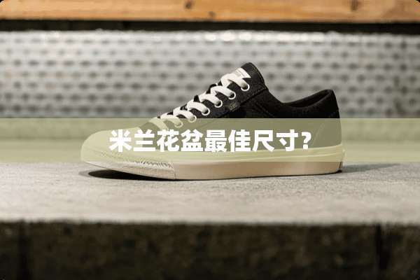 米兰花盆最佳尺寸？