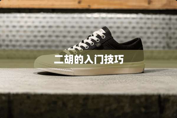 二胡的入门技巧