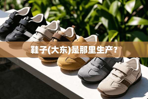鞋子(大东)是那里生产？