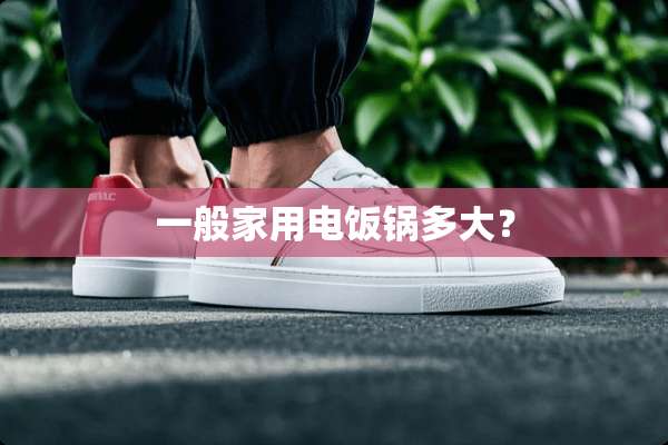 一般家用电饭锅多大？