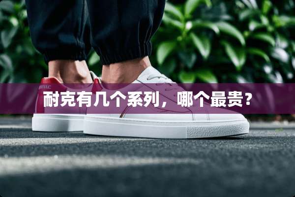 耐克有几个系列，哪个最贵？