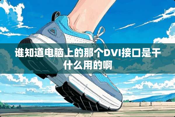 谁知道电脑上的那个DVI接口是干什么用的啊