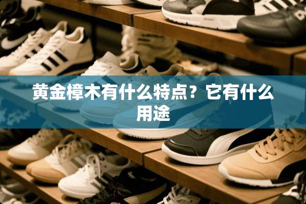 黄金樟木有什么特点？它有什么用途