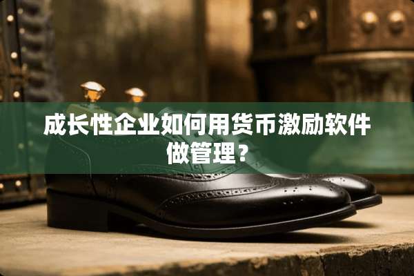 成长性企业如何用货币激励软件做管理？