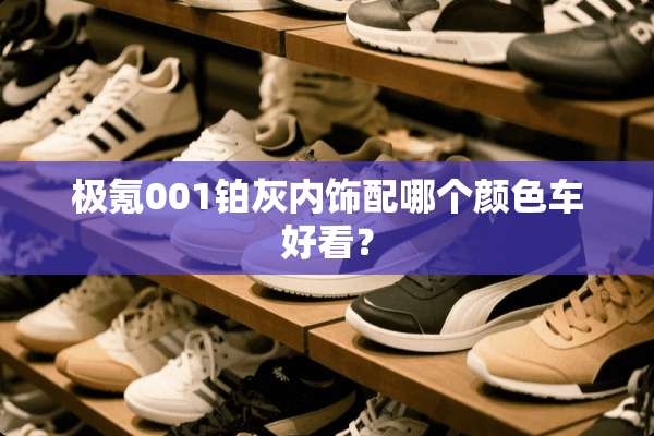 极氪001铂灰内饰配哪个颜色车好看？