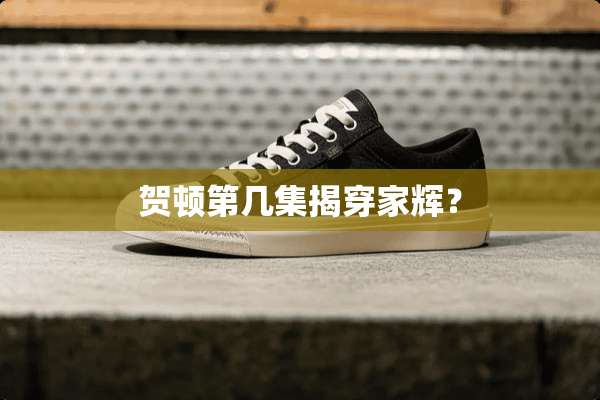贺顿第几集揭穿家辉？