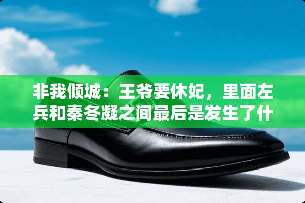 非我倾城：**要休妃，里面左兵和秦冬凝之间最后是发生了什么么？