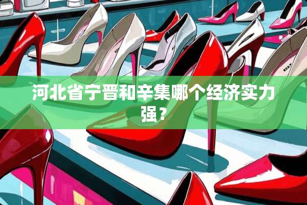 河北省宁晋和辛集哪个经济实力强？