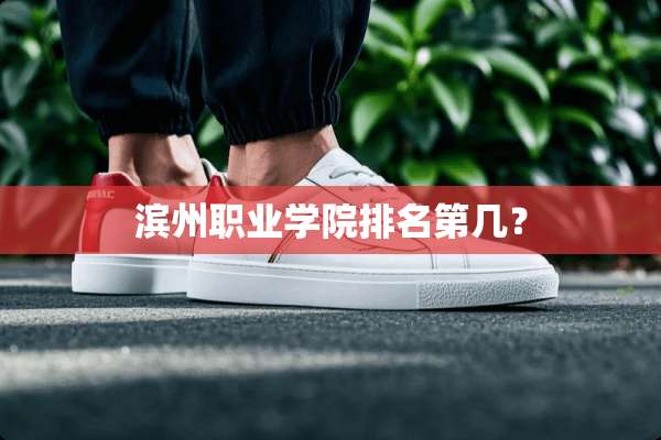 滨州职业学院排名第几？