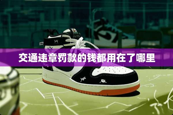 交通违章罚款的钱都用在了哪里
