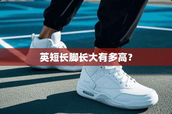 英短长脚长大有多高？