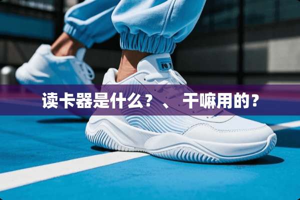 读卡器是什么？、 干嘛用的？