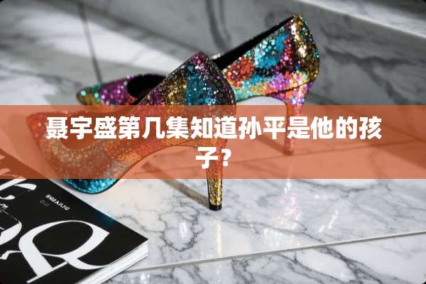 聂宇盛第几集知道孙平是他的孩子？