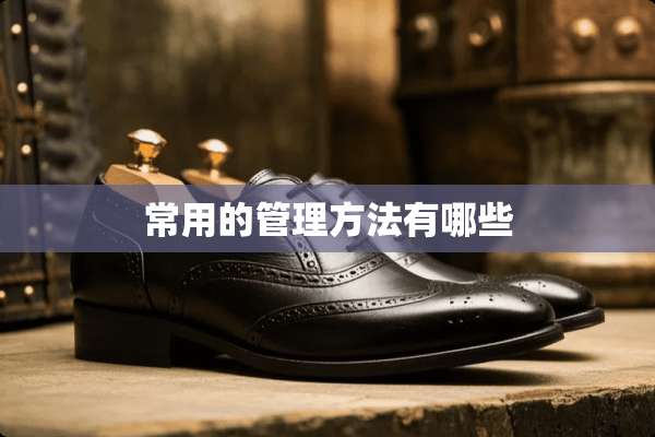常用的管理方法有哪些