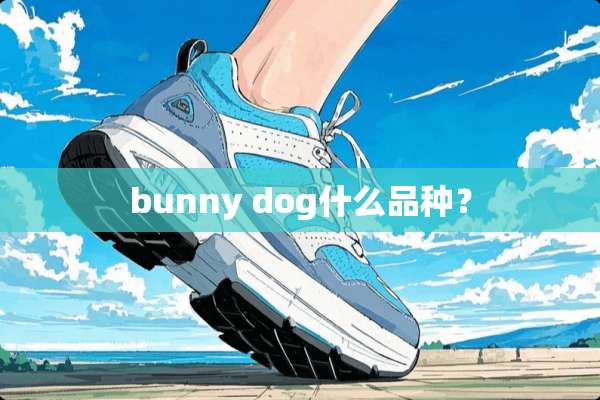bunny dog什么品种？