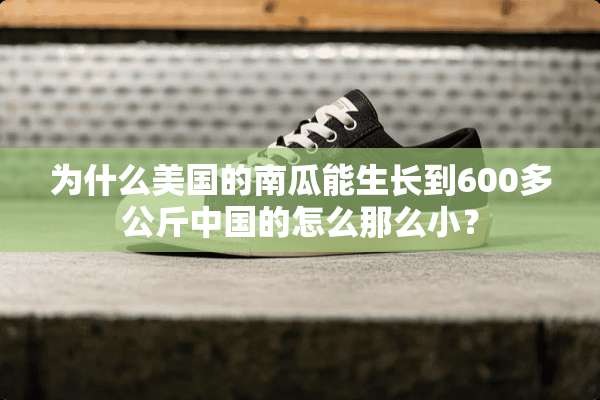 为什么美国的南瓜能生长到600多公斤中国的怎么那么小？