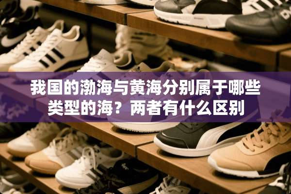 我国的渤海与黄海分别属于哪些类型的海？两者有什么区别