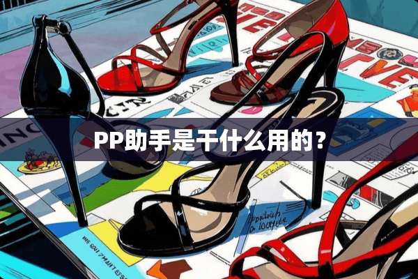 PP助手是干什么用的？