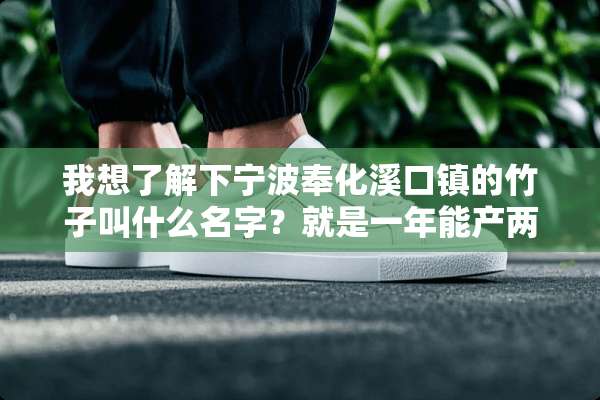 我想了解下宁波奉化溪口镇的竹子叫什么名字？就是一年能产两季的竹笋的竹子？