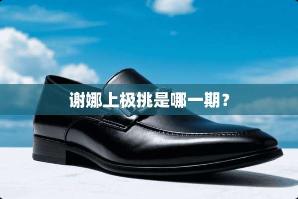 谢娜上极挑是哪一期？