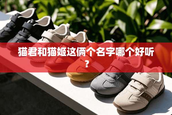 猫君和猫姬这俩个名字哪个好听？