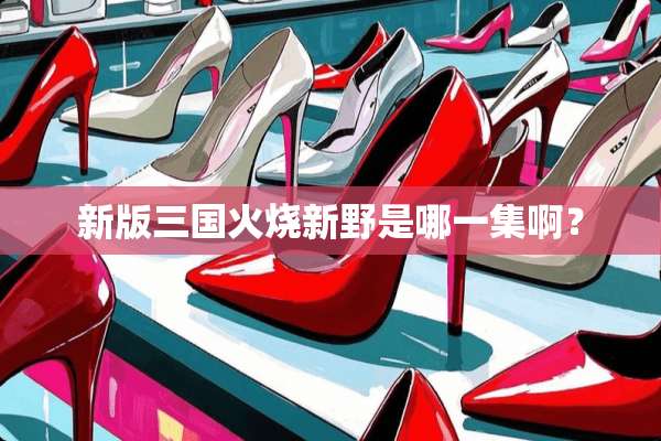 新版三国火烧新野是哪一集啊？