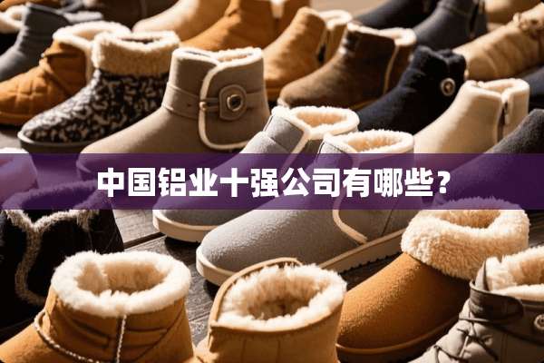 中国铝业十强公司有哪些？