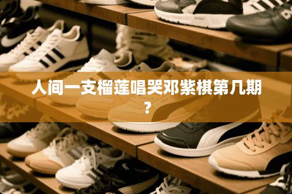 人间一支榴莲唱哭邓紫棋第几期？