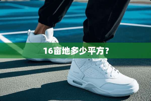 16亩地多少平方？