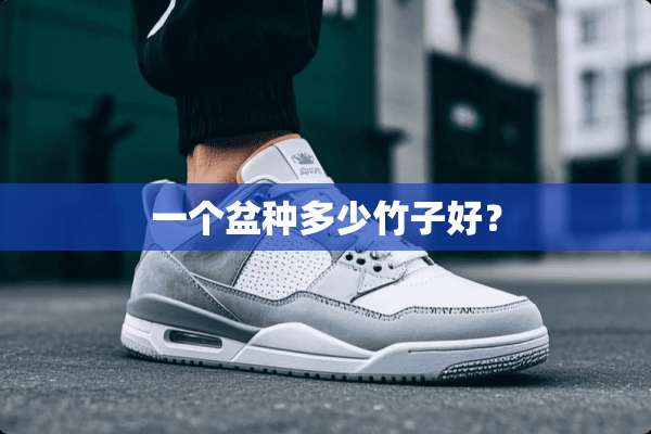 一个盆种多少竹子好？