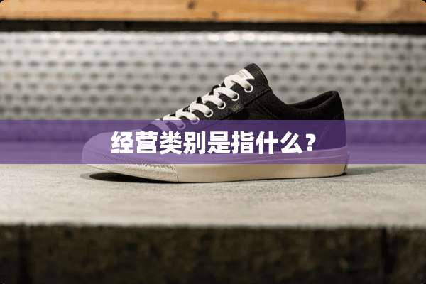 经营类别是指什么？