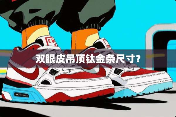 双眼皮吊顶钛金条尺寸？