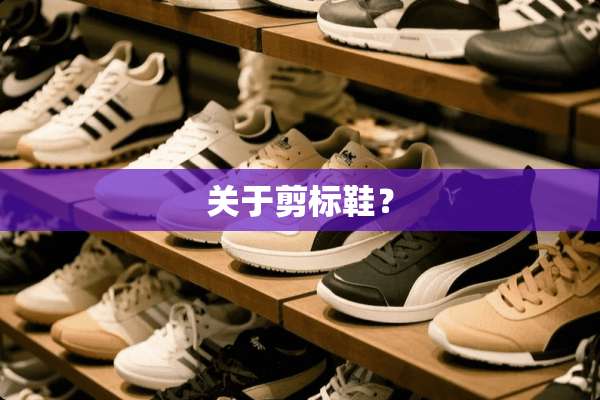 关于剪标鞋？