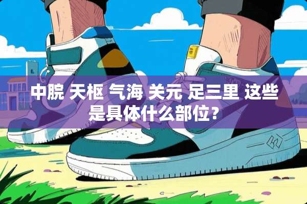 中脘 天枢 气海 关元 足三里 这些是具体什么部位？