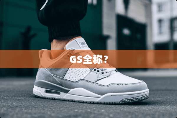 GS全称？