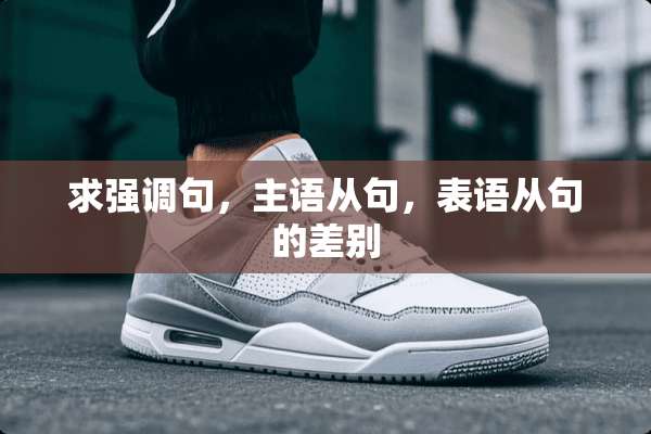 求强调句，主语从句，表语从句的差别