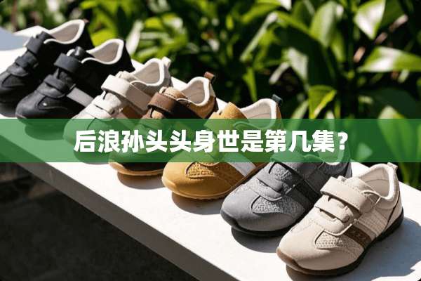 后浪孙头头身世是第几集？