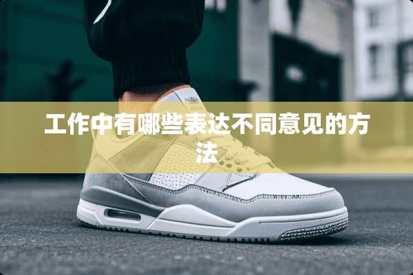 工作中有哪些表达不同意见的方法